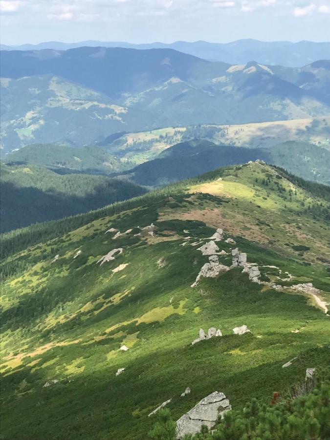 Вілла Софі 베르코비나 외부 사진